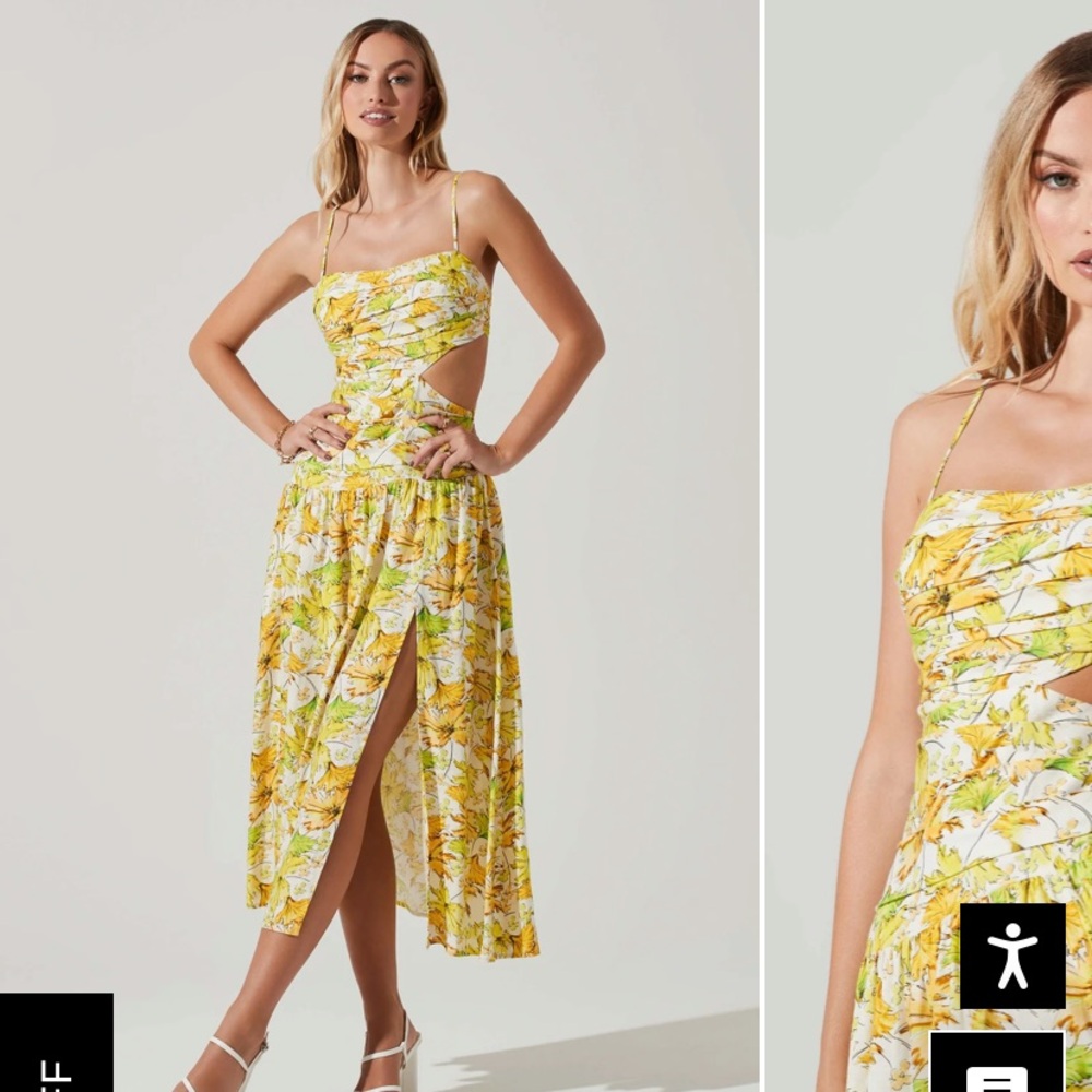 Astr the label Alina floral pleated bust dress